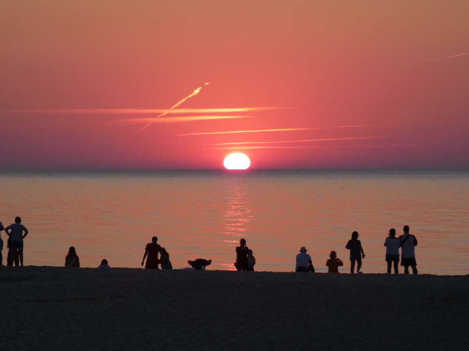 P1020470.JPG - Bazyl74