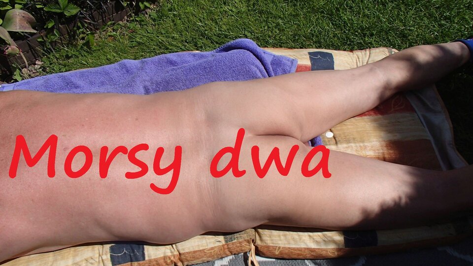 W słoneczku !!! - Morsy_dwa