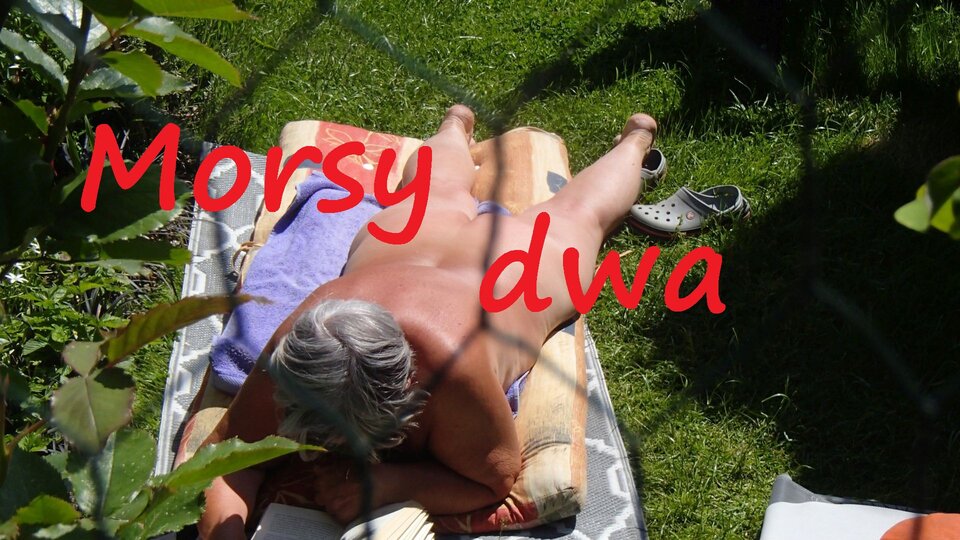 W słoneczku !!! - Morsy_dwa