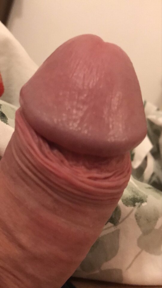 ABC218C6-73D2-45D4-B34C-9371BBD7D988.jpeg - ostrerzniecie2739