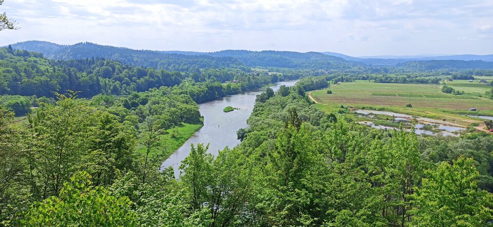 IMG_20230602_095414.jpg - Josephi