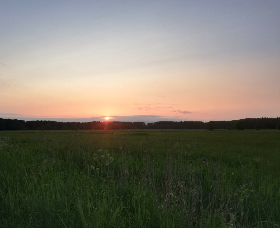 IMG_20230524_204225.jpg - torii99