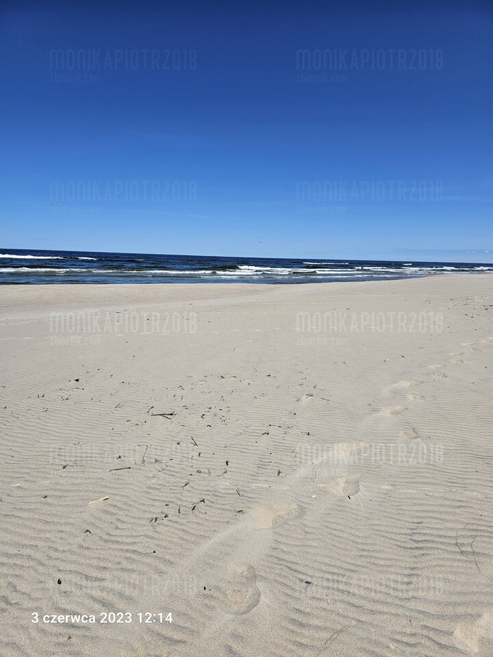 20230603_121428.jpg - monikapiotr2018