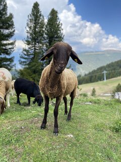 IMG_8974.jpeg
