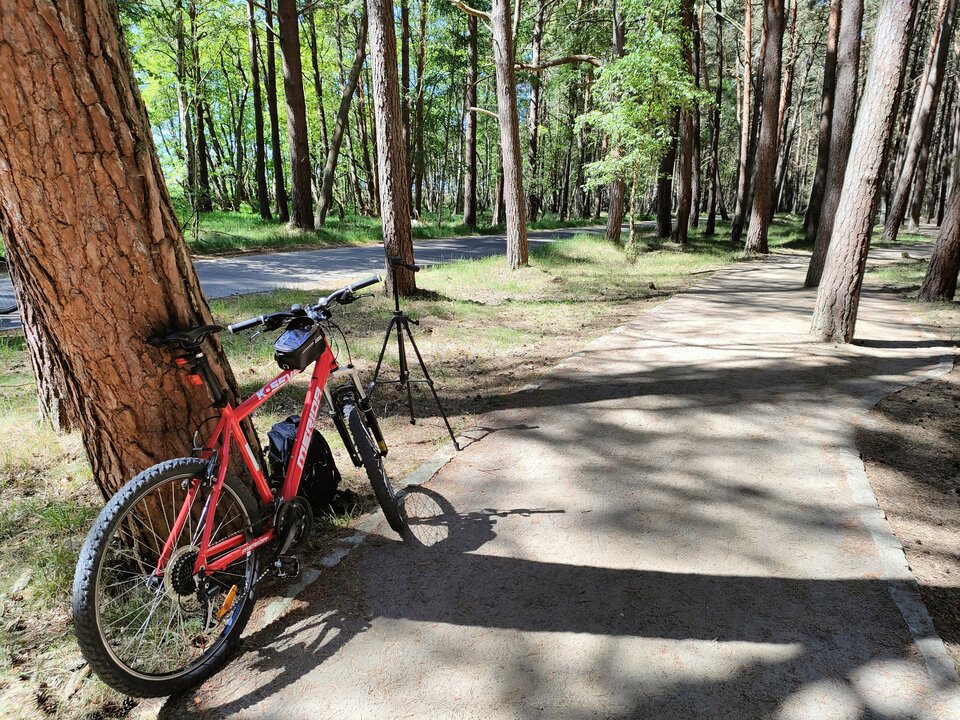 IMG20230603105435.jpg - Barraquito_83