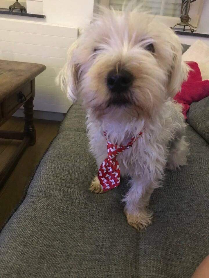 IMG_8021.jpeg - kifaczek