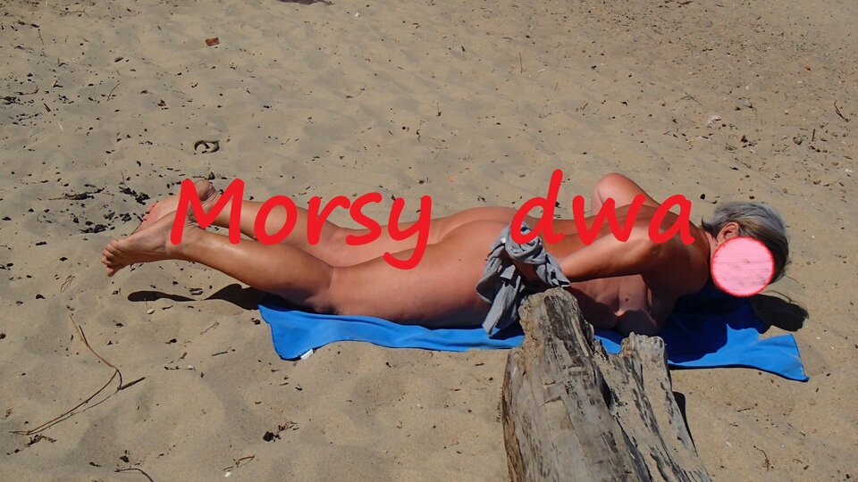Dzisiejszy wypad nad morze. - Morsy_dwa