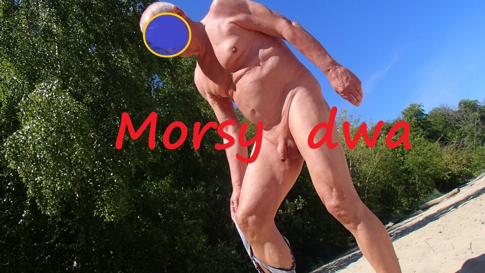 Dzisiejszy wypad nad morze. - Morsy_dwa