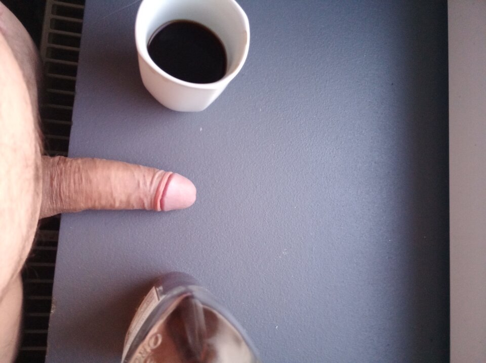 2023-06-0321.20.326548114381005758972.jpg - petwet