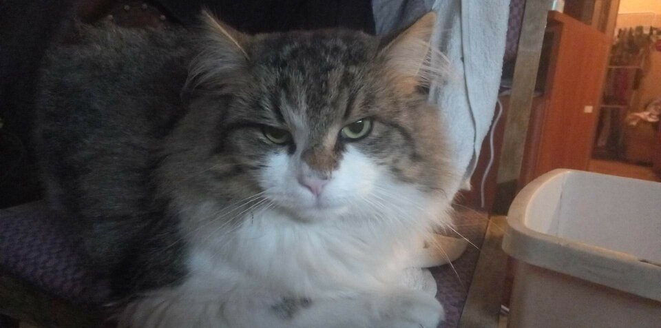 received_563539365186286.jpeg - Roderich30