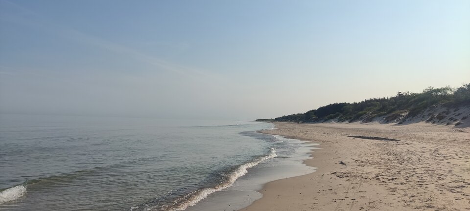 IMG_20230604_075859.jpg - edytkaandrzej