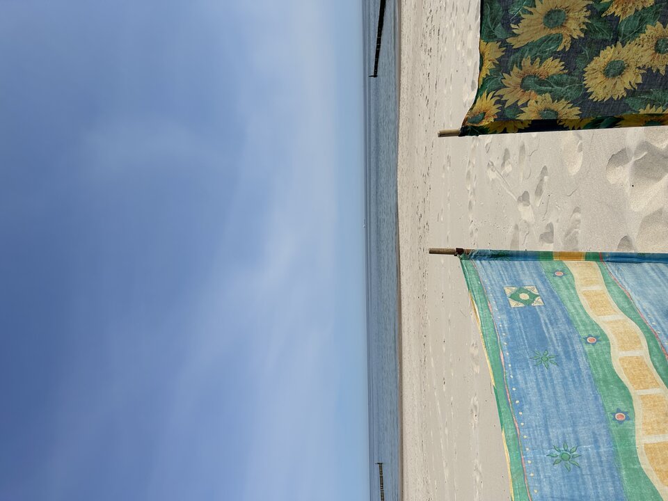 IMG_2445.jpeg - MagdMar7