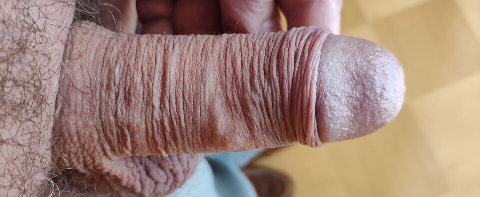 IMG_20230604_111558.jpg - jogan