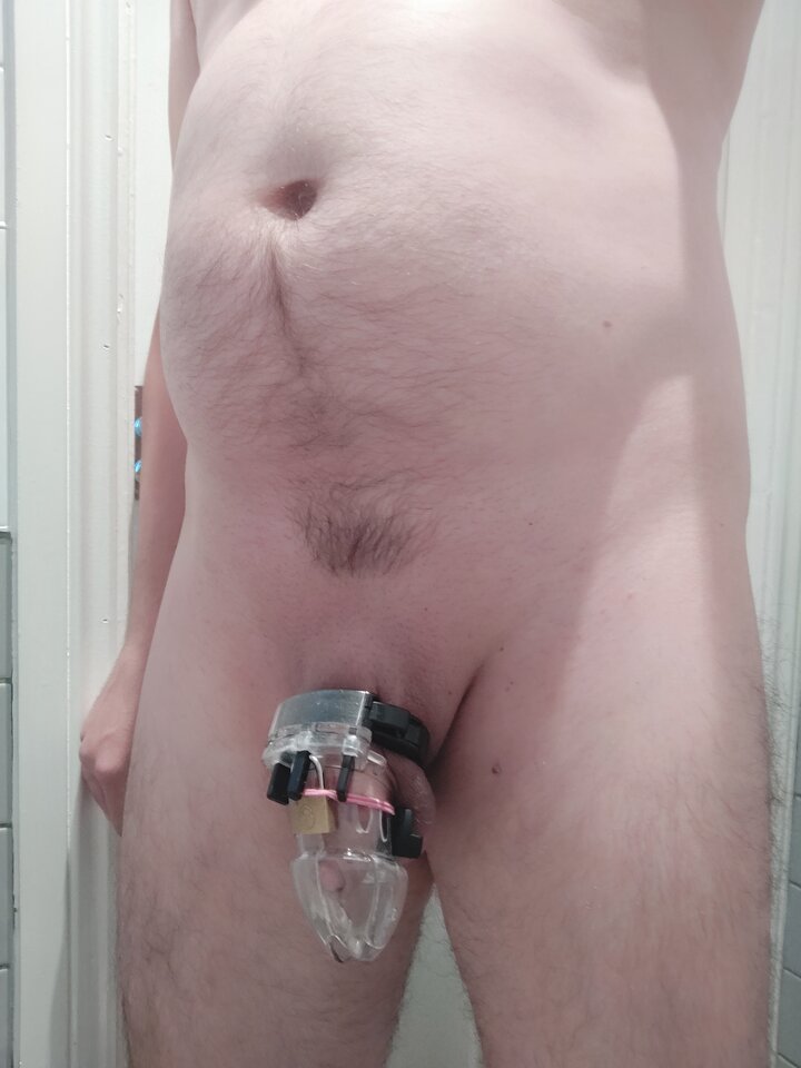 IMG_20230604_110808.jpg - widzget