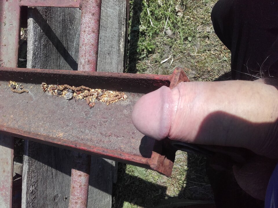 1685876284855-467307828.jpg - pawelpawel50