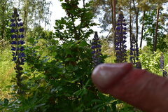 DSC_0019.JPG