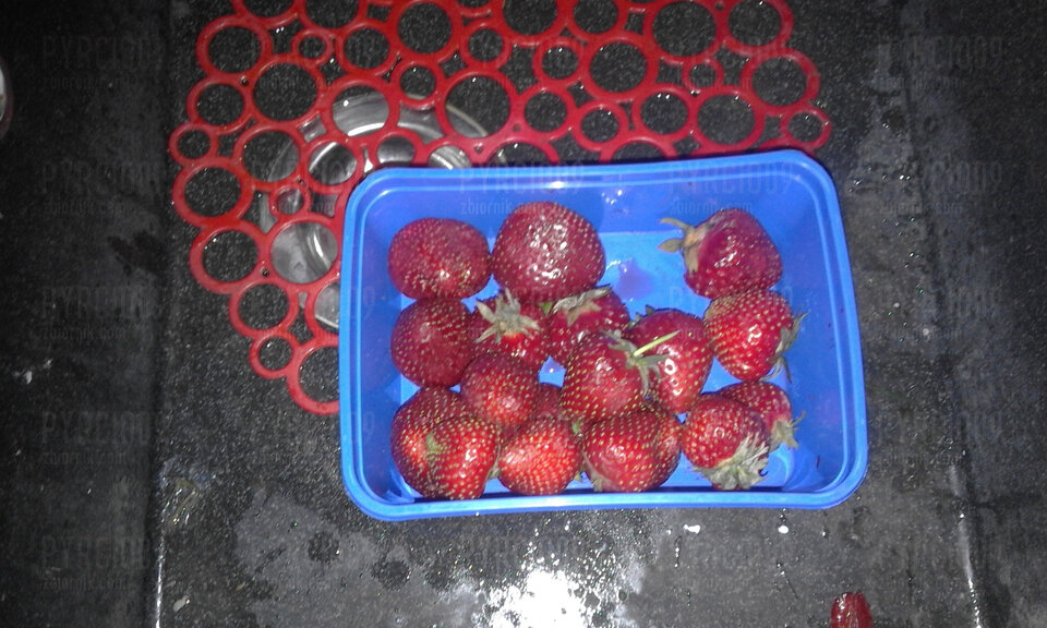 Sezon truskawkowy rozpoczety 20230604_152248.jpg - Pyrcio09