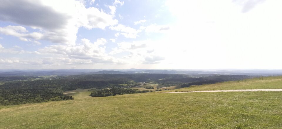 IMG_20230604_162628.jpg - Josephi