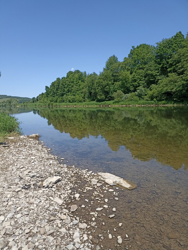 IMG_20230604_120355.jpg - marka35