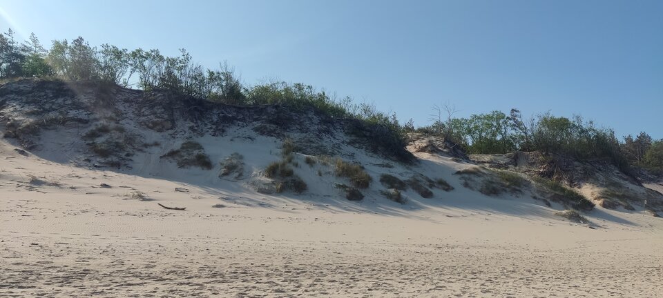 IMG_20230604_081519.jpg - edytkaandrzej