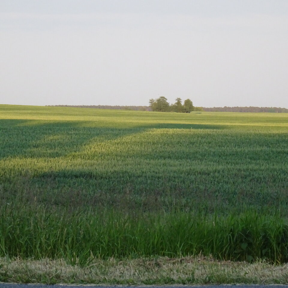 DSC01441.JPG - bojman8