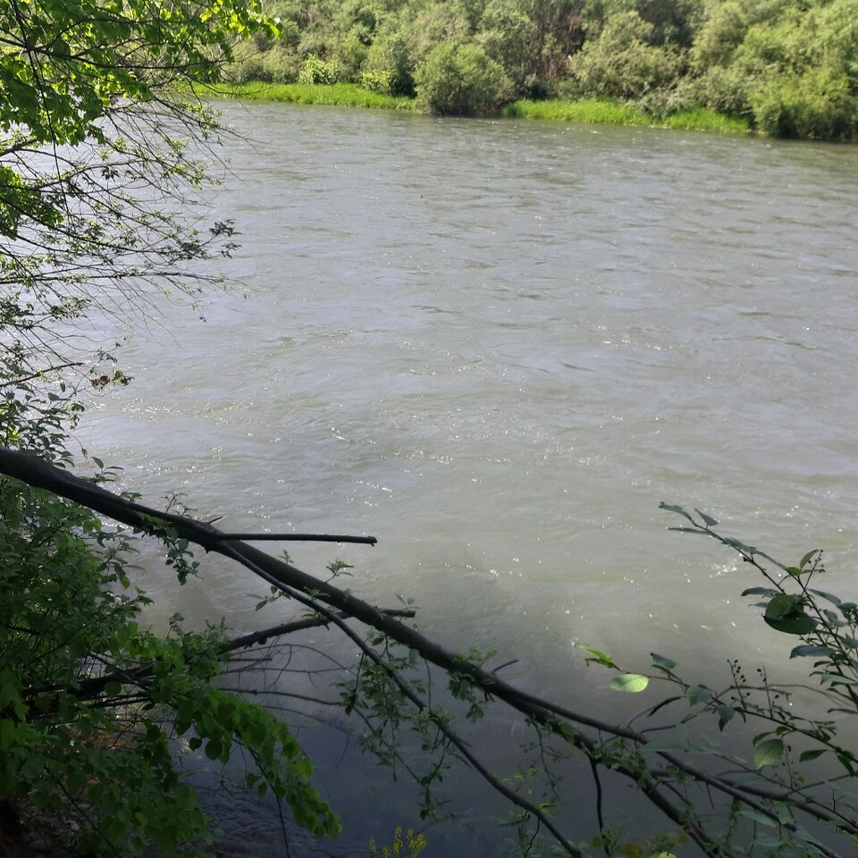 20230521_114610.jpg - Ali70plus