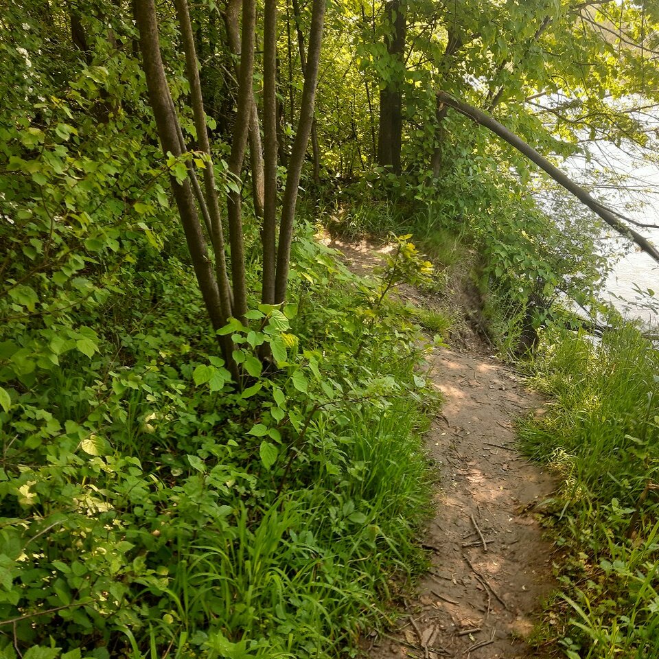 20230521_114626.jpg - Ali70plus