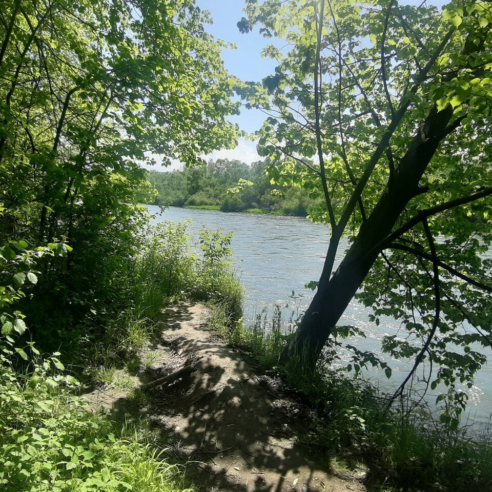 20230521_141401.jpg - Ali70plus