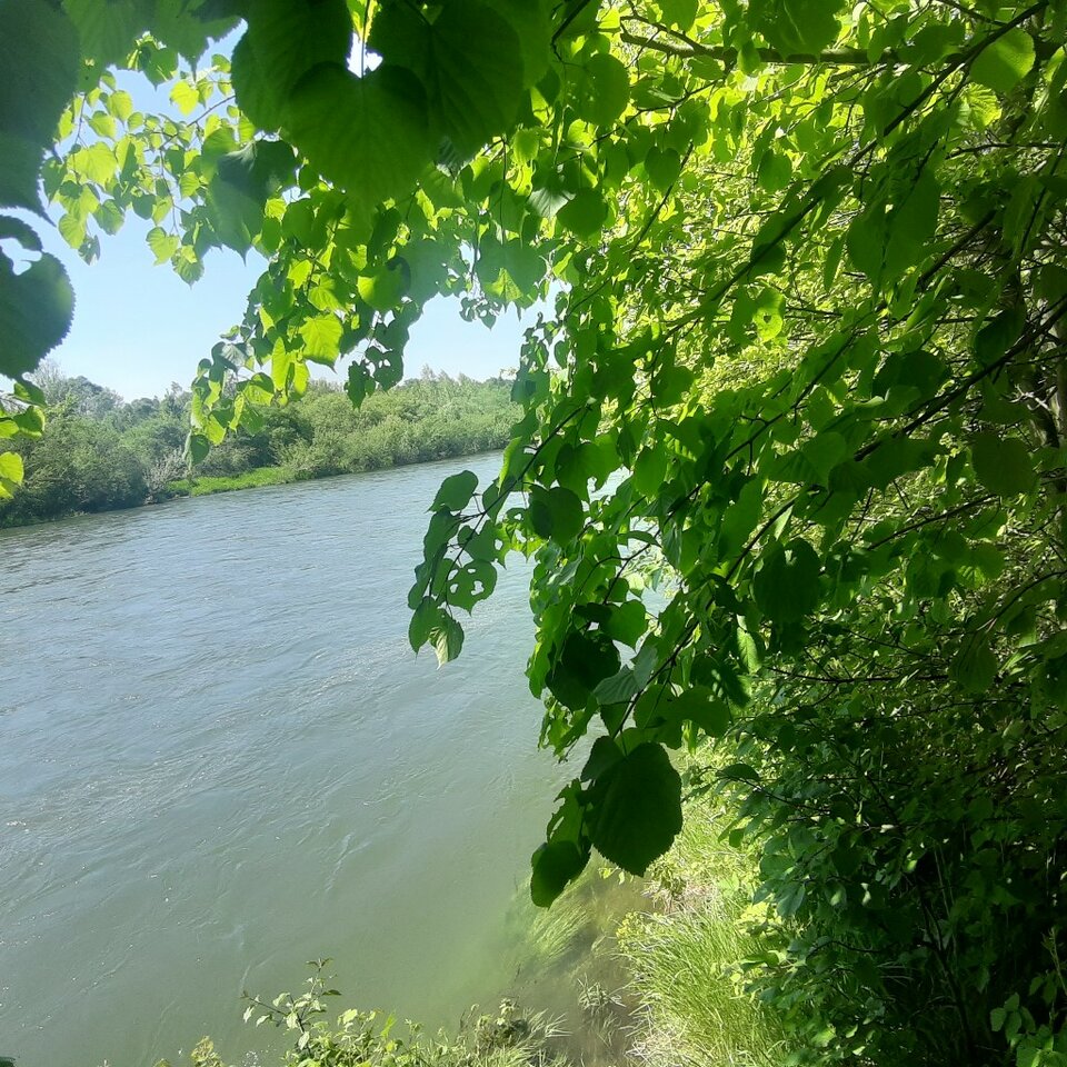 20230521_141447.jpg - Ali70plus