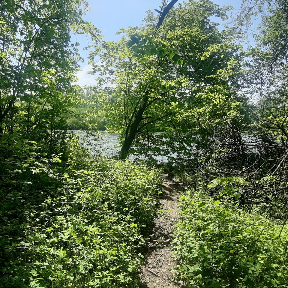 20230521_141351.jpg - Ali70plus