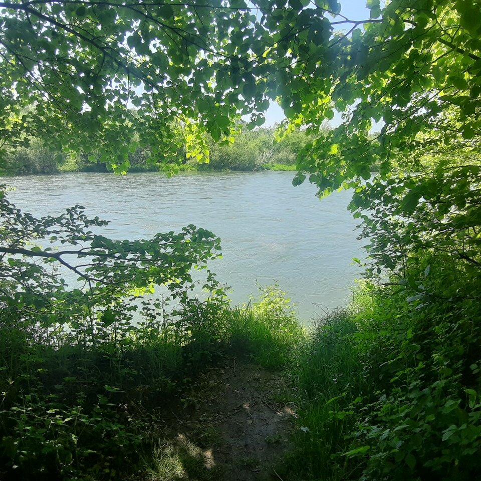 20230521_141728.jpg - Ali70plus