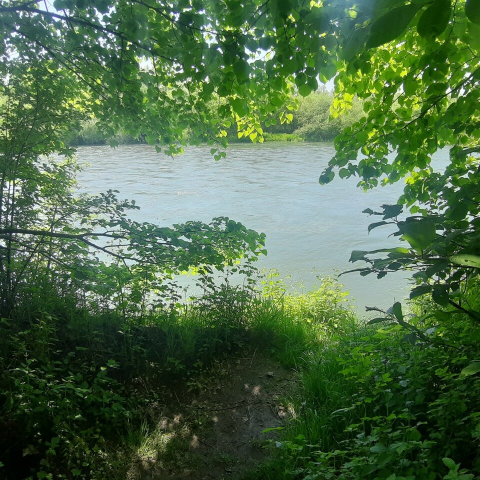 20230521_141431.jpg - Ali70plus