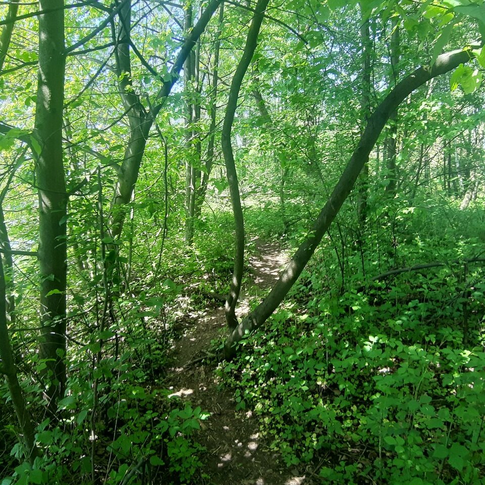 20230521_141741.jpg - Ali70plus