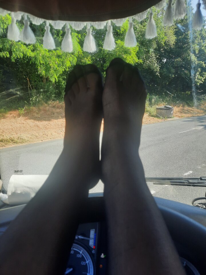 20230607_095144.jpg - Transpola