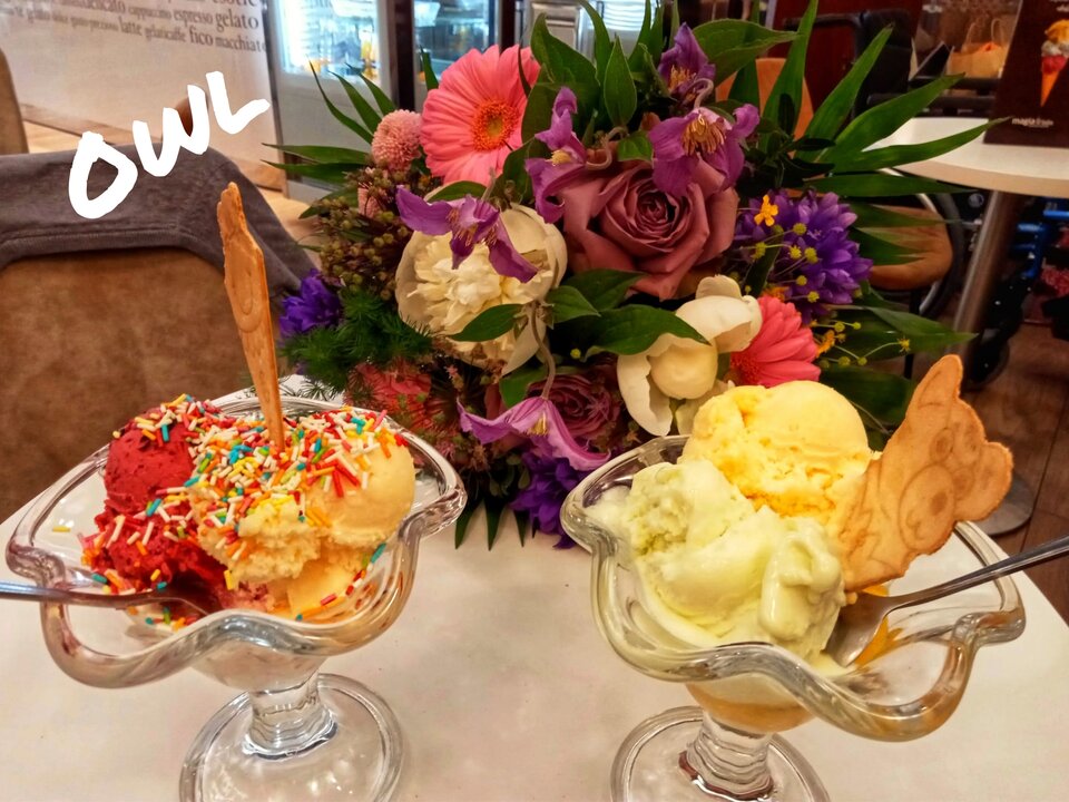 🥰💯🍨🎂.jpg - OwlsSoul