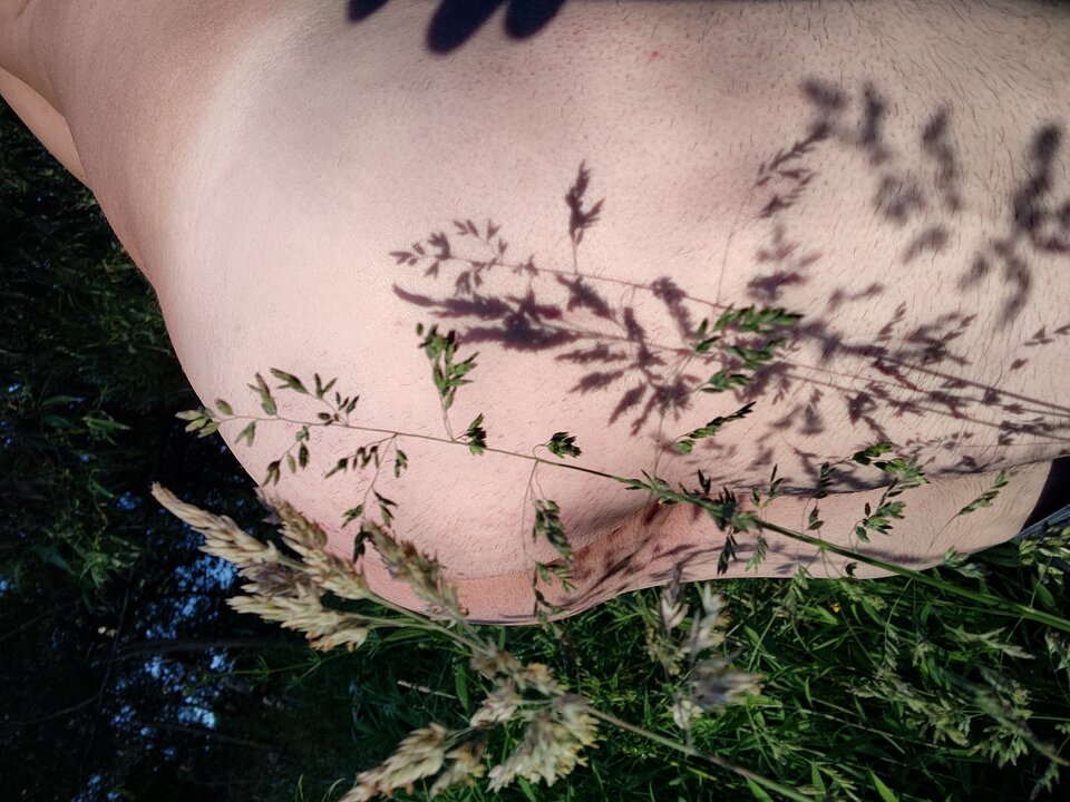 IMG_20230607_191839731_HDR.jpg - jan2121