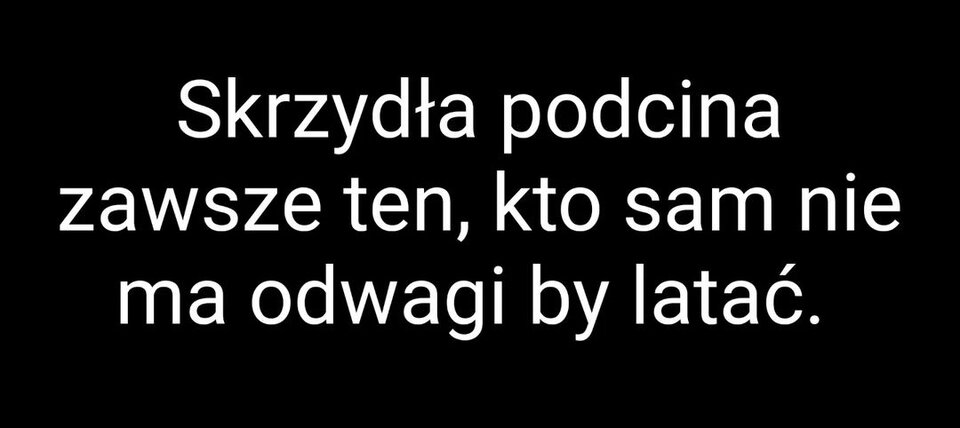 IMG_20230607_131706.jpg - Nicci