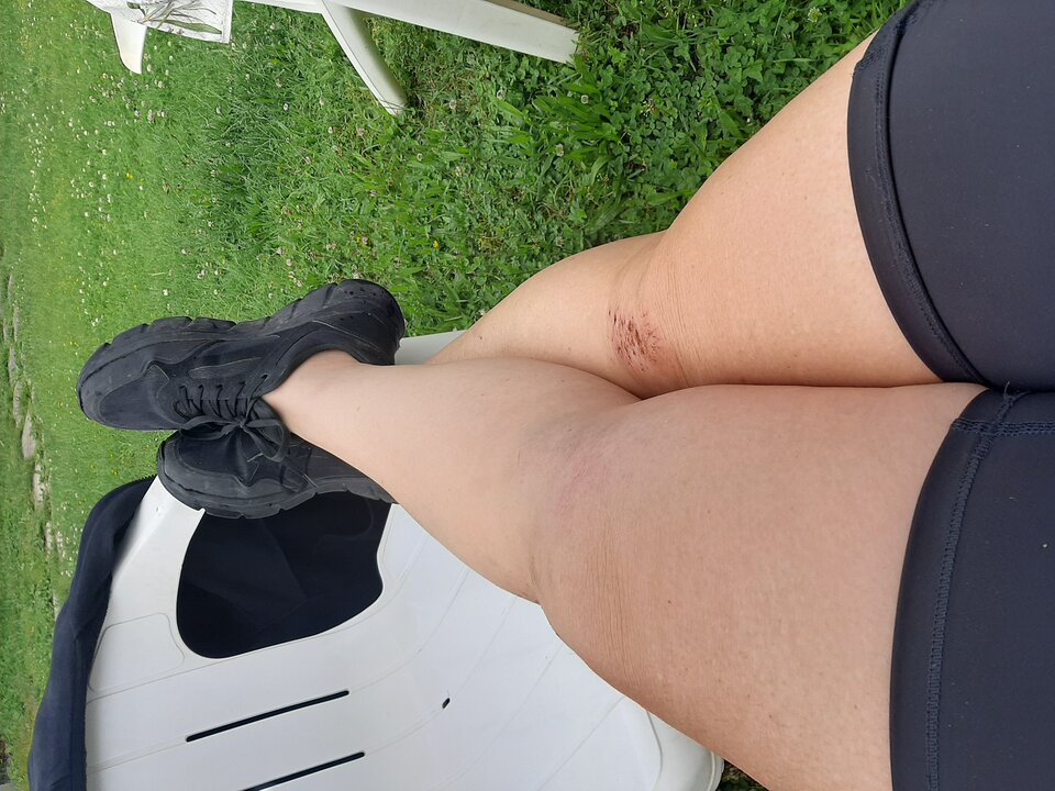 20230608_100553.jpg - mevia