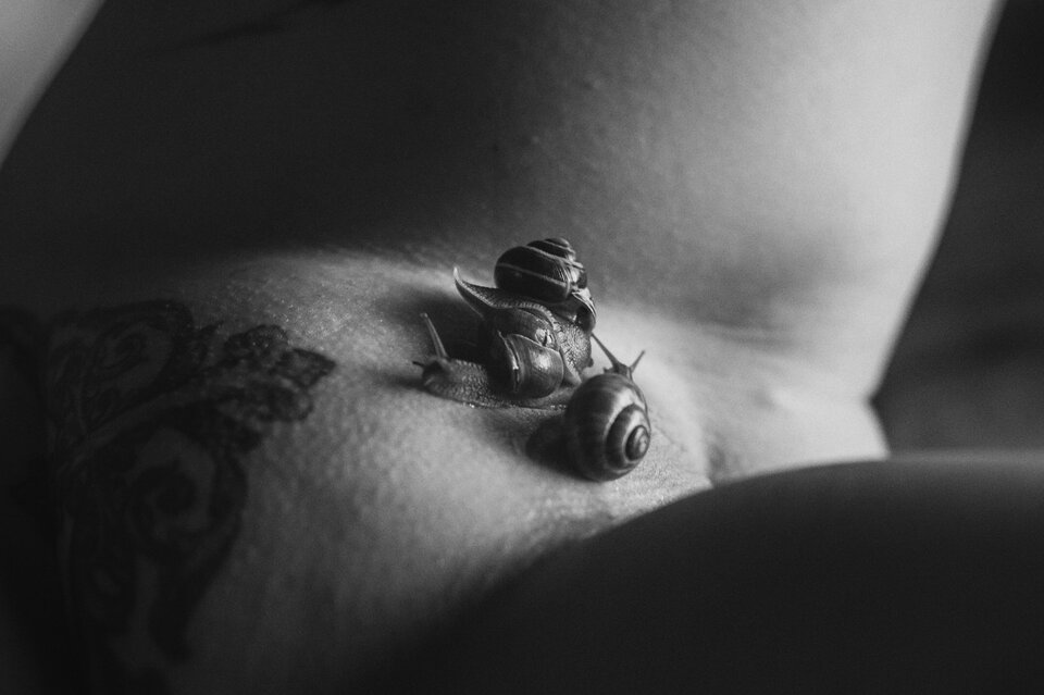 Snails - sinner_in_me