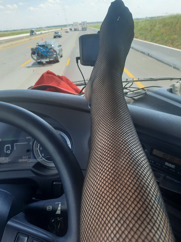 16862308129033696991355029888405.jpg - Transpola