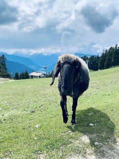 IMG_9319.jpeg