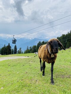 IMG_9324.jpeg