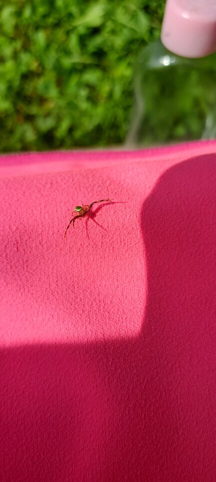 20230608_161048.jpg - KateMike