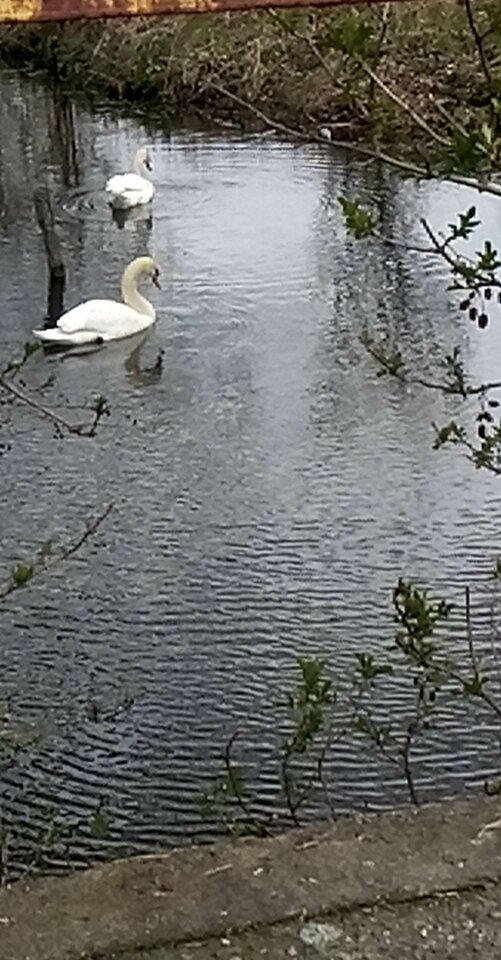 received_1158802228073162.jpeg - psotnymirek