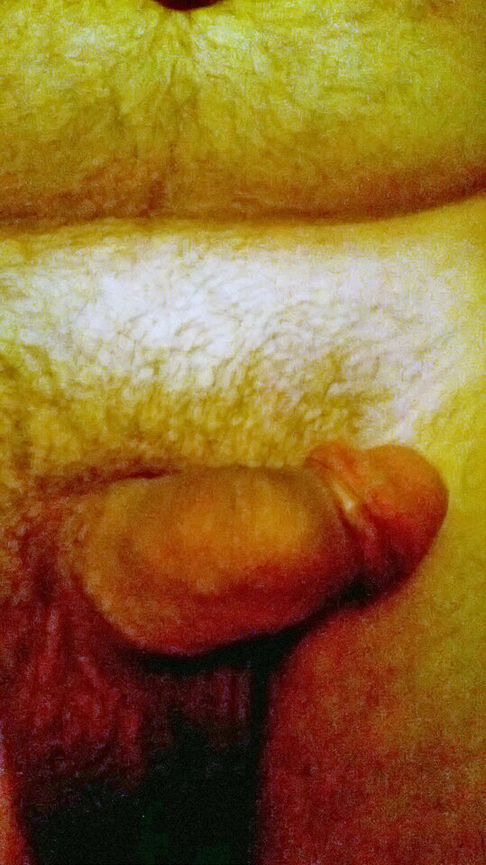 WP_20230608_006.jpg - Rafal9333