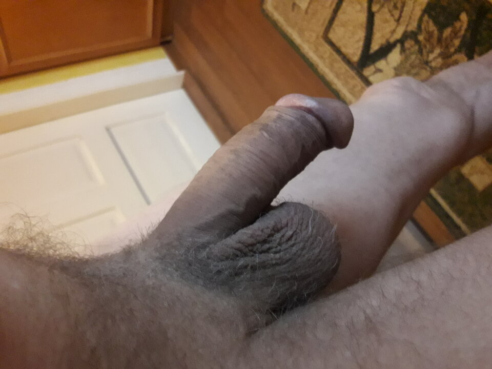 20230609_051408.jpg - brus13