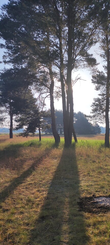 IMG_20230609_062822.jpg - nocna_para