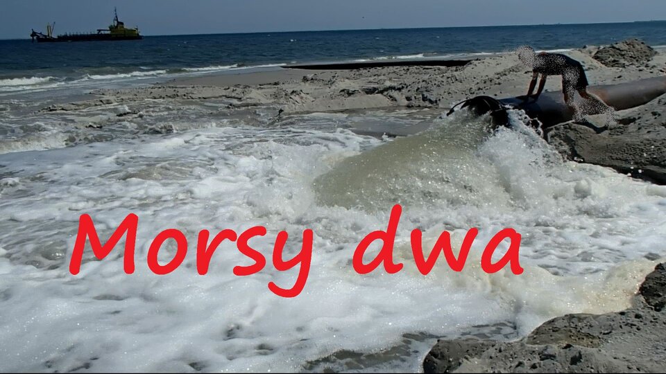 Przybywa powierzchni. - Morsy_dwa
