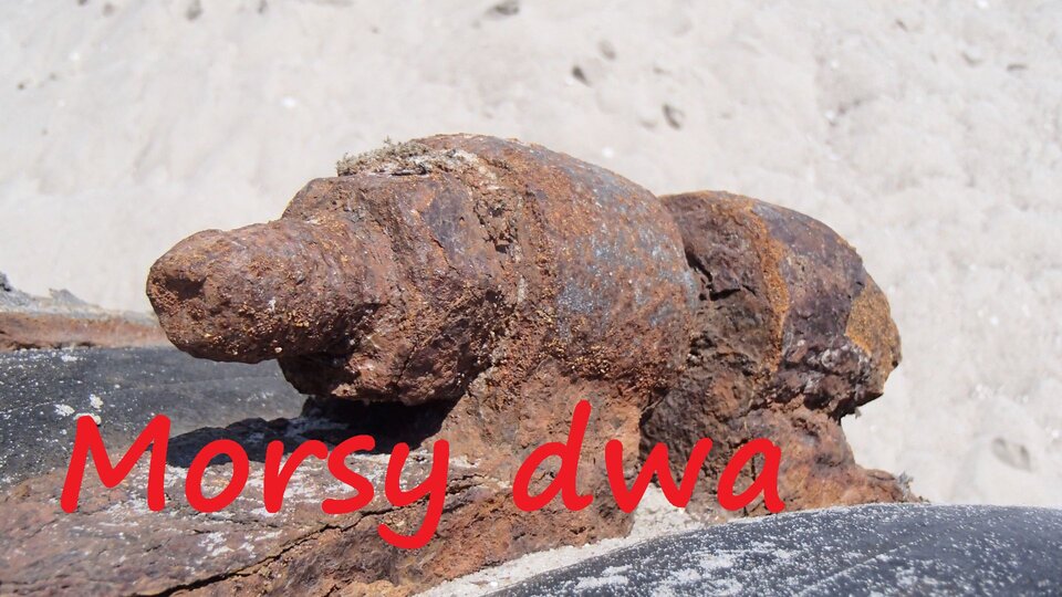 Nadgryzione zębem czasu i morskim klimatem - ale działa !!! - Morsy_dwa