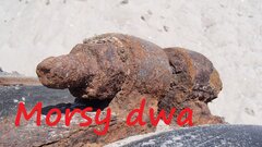Nadgryzione zębem czasu i morskim klimatem - ale działa !!!